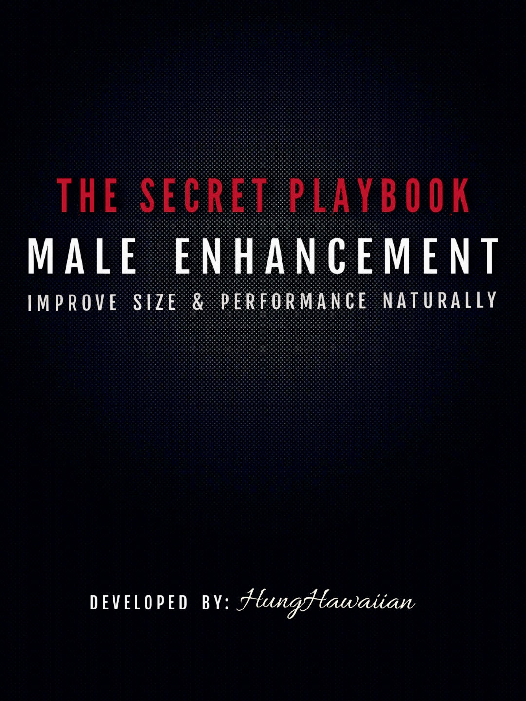 NEW The Secret Playbook - Condensed Version